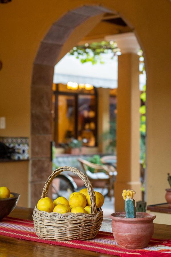 Villa Vicuna Cafayate Boutique Hotel Eksteriør bilde