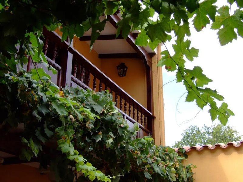 Villa Vicuna Cafayate Boutique Hotel Eksteriør bilde